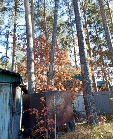
  Продается дача 35 м². Фото 21.