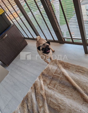 
  Продается 2-комн. квартира 57.1 м². Фото 6.