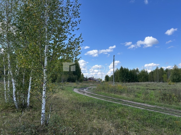 
  Продается земельный участок 10 соток. Фото 6.