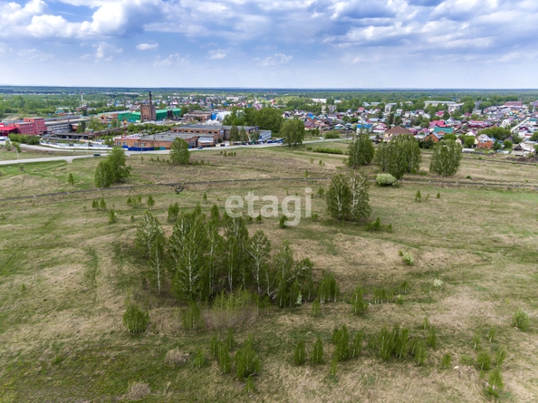 
  Продается земельный участок 6.37 соток. Фото 6.