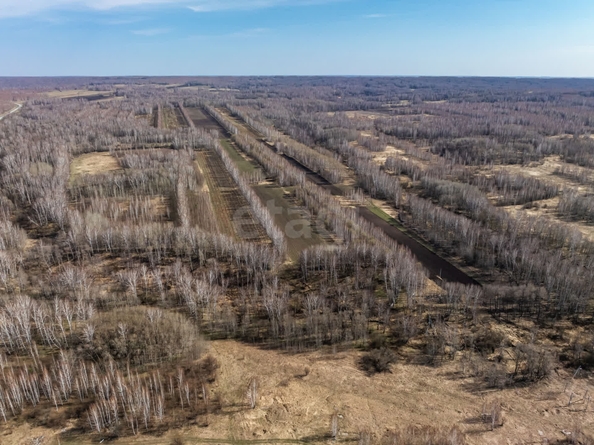 
  Продается земельный участок 950 соток, в КП Олимп. Фото 3.
