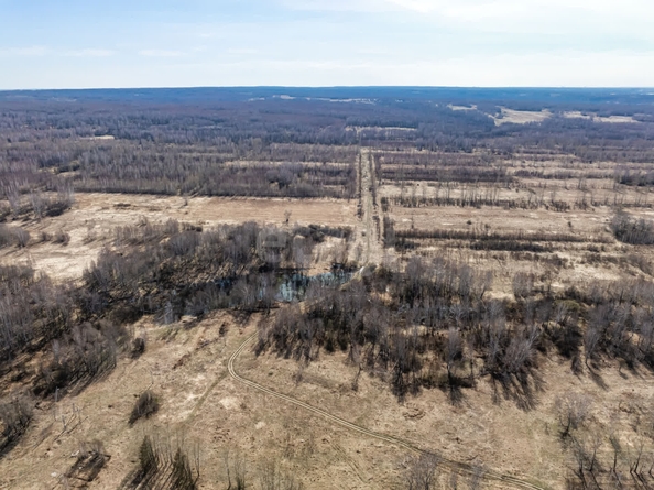 
  Продается земельный участок 950 соток, в КП Олимп. Фото 6.