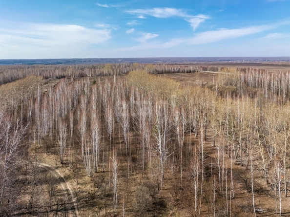 
  Продается земельный участок 6116 соток, в КП Олимп. Фото 15.