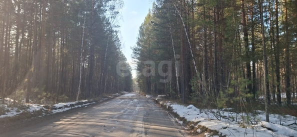 
  Продается дача 24 м². Фото 24.