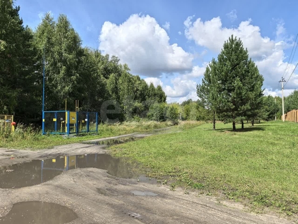 
  Продается земельный участок 139.09 соток. Фото 19.