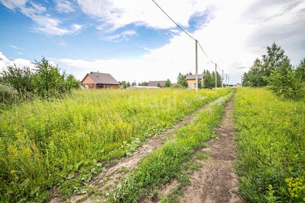 
  Продается земельный участок 8 соток. Фото 5.