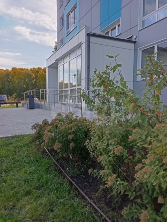 
  Продается 2-комн. квартира 55 м², в ЖК Акварельный 3.0, дом 1. Фото 16.