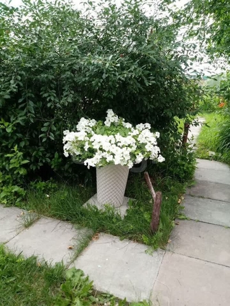 
  Продается дача 40 м². Фото 16.