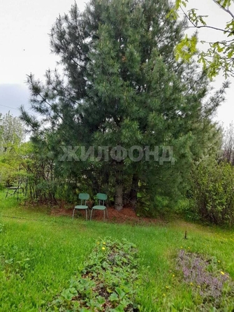 
  Продается дача 20 м². Фото 11.