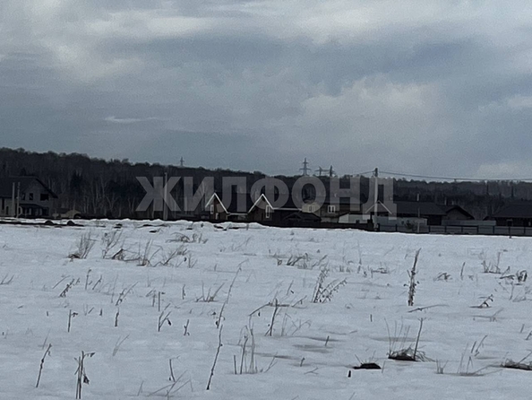 
  Продается земельный участок 10 соток. Фото 11.
