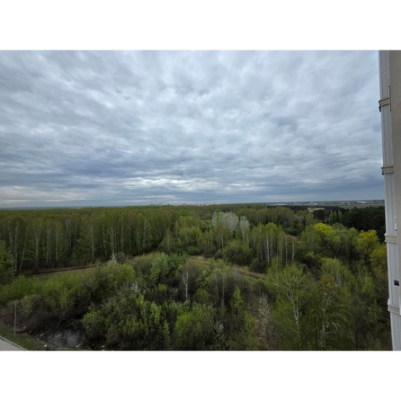 
  Продается студия 40.1 м², в ЖК На Петухова, дом 1. Фото 20.