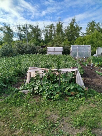 
  Продается дача 20 м². Фото 4.