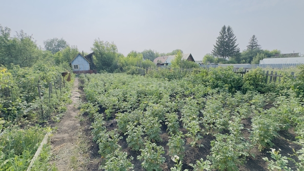 
  Продается дача 40 м². Фото 13.