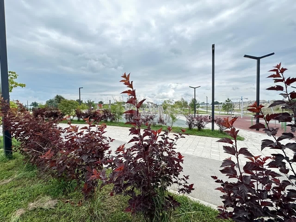 
  Продается 2-комн. квартира 57.5 м², в ЖК Тайгинский парк, дом 2. Фото 6.