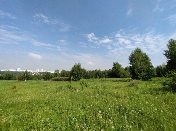 
  Продается земельный участок 427.49 соток. Фото 5.