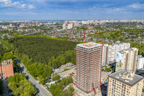 
  Продается 2-комн. квартира 37.78 м², в ЖК Белкин. Фото 16.