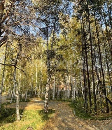 
  Продается 2-комн. квартира 48.3 м², в ЖК Эволюция, 1 оч, дом 3. Фото 31.