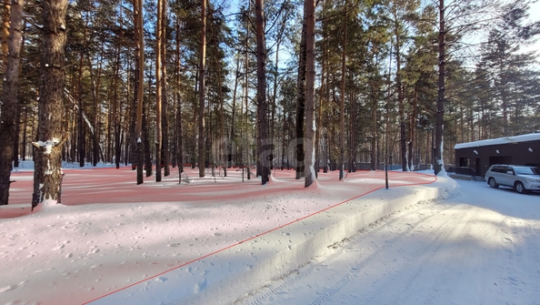 
  Продается земельный участок 29.29 соток. Фото 1.