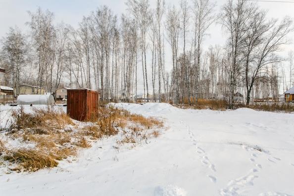 
  Продается земельный участок 8 соток. Фото 19.