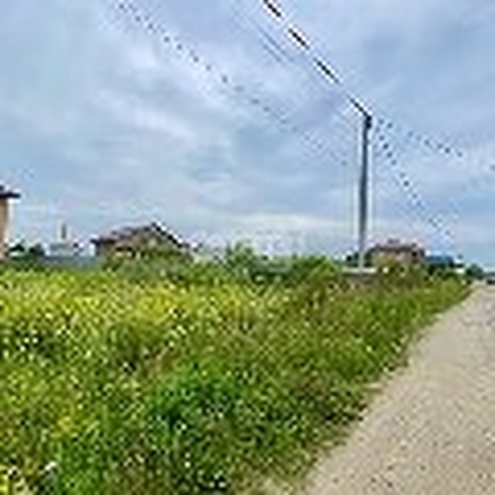 
  Продается земельный участок 10.8 соток. Фото 4.