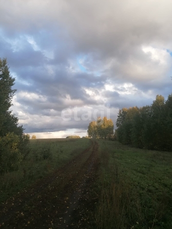 
  Продается земельный участок 1291.6 сотка. Фото 10.