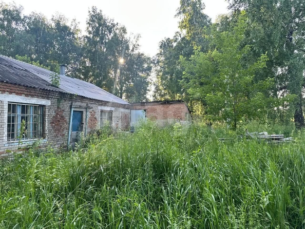 
  Продается универсальное помещение 101.7 м². Фото 12.