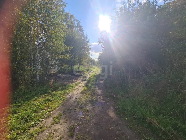 
  Продается земельный участок 8.16 соток. Фото 9.