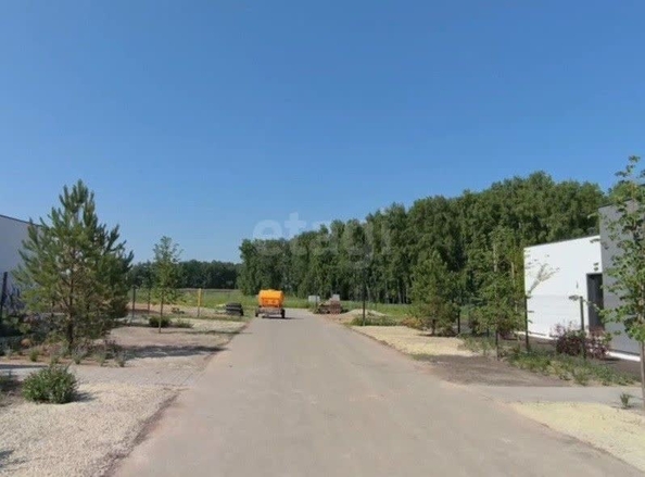 
  Продается земельный участок 7.36 соток, в КП Соловьи. Фото 3.