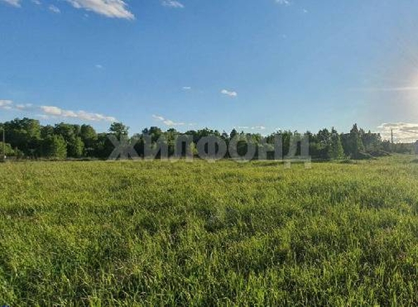 
  Продается земельный участок 10.3 соток, в КП Время Гринвич. Фото 4.