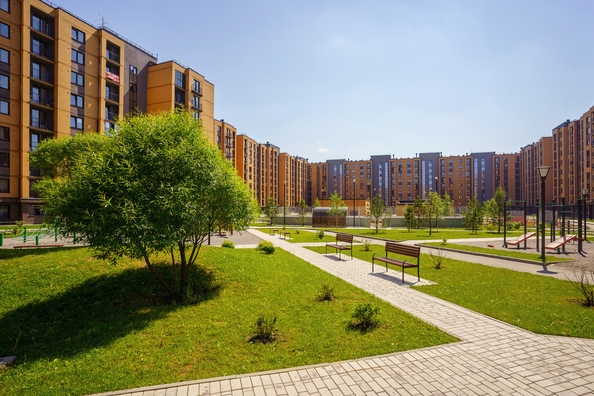 
  Продается 1-комн. квартира 44.6 м², в ЖК Цивилизация, дом 2. Фото 8.