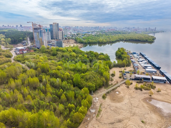 
  Продается земельный участок 65 соток. Фото 12.
