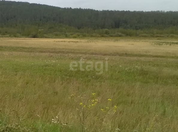 
  Продается земельный участок 8 соток. Фото 4.