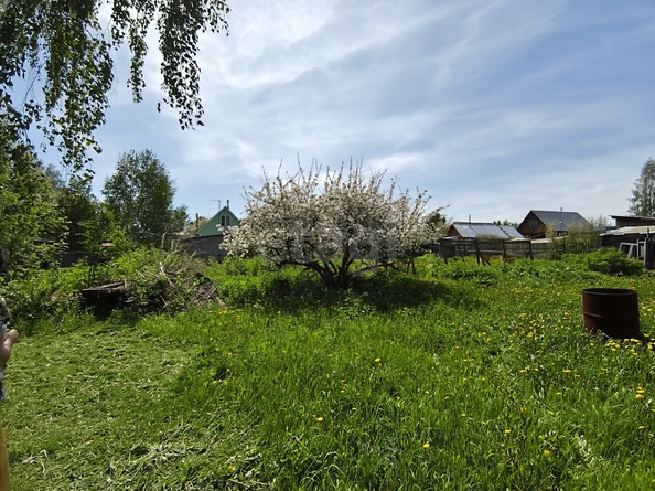 
  Продается земельный участок 12 соток. Фото 8.