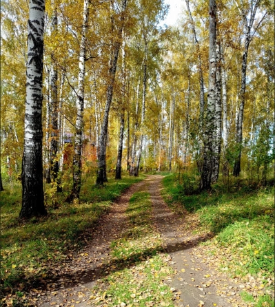 
  Продается земельный участок 7.3 соток. Фото 2.
