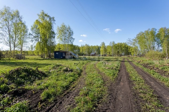 
  Продается земельный участок 10 соток. Фото 5.