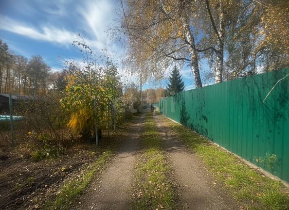 
  Продается земельный участок 5.92 соток. Фото 6.