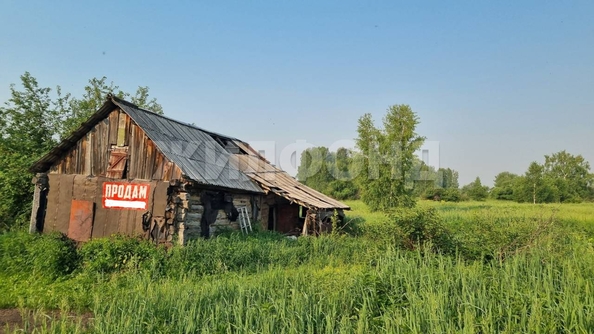 
  Продается земельный участок 30 соток. Фото 3.