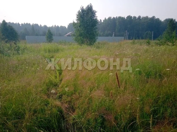 
  Продается земельный участок 11.5 соток. Фото 3.