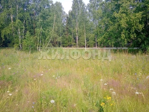 
  Продается земельный участок 11.5 соток. Фото 4.