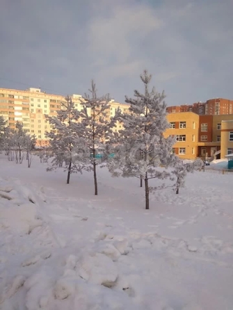 
  Продается студия 27.7 м². Фото 26.