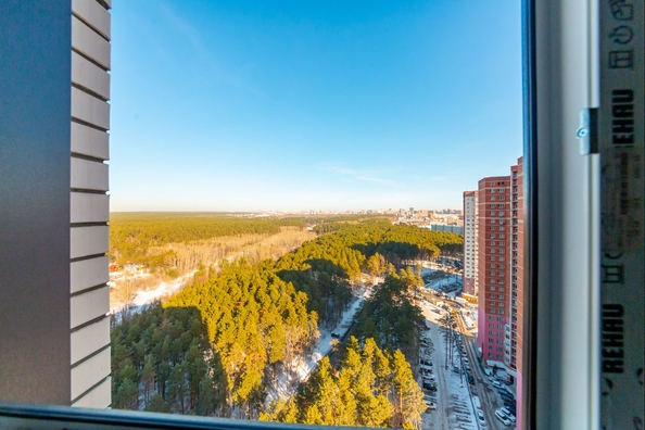 
  Продается 1-комн. квартира 45.5 м², в ЖК Бирюзовая жемчужина-4. Фото 20.
