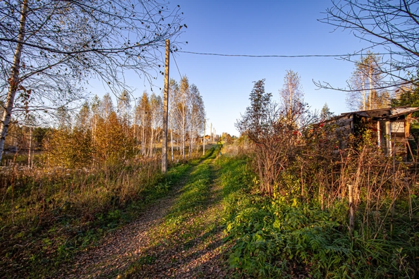 
  Продается земельный участок 12 соток. Фото 2.