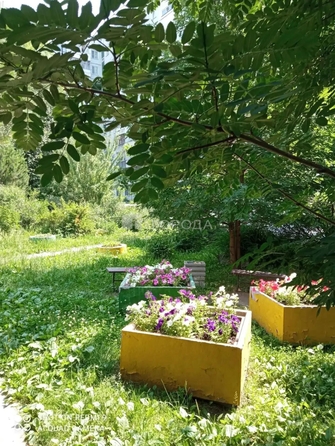 
  Продается 3-комн. квартира 61 м². Фото 11.