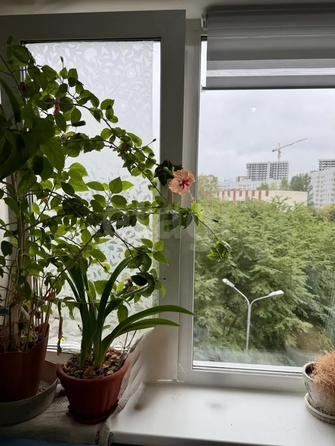 
  Продается 1-комн. квартира 33.2 м². Фото 10.