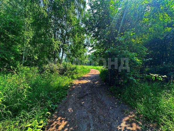 
  Продается земельный участок 6 соток. Фото 16.