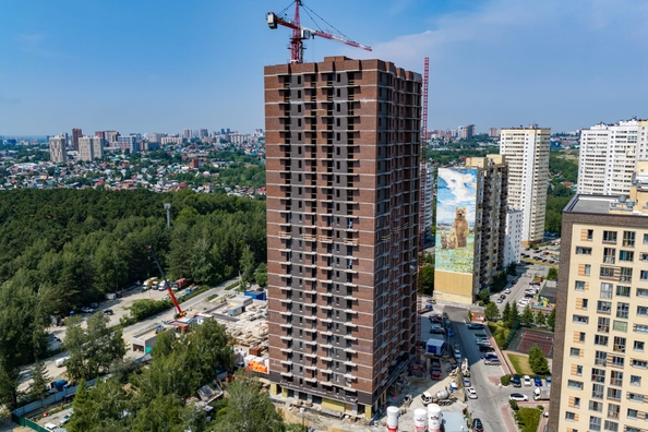 
  Продается 1-комн. квартира 21.27 м², в ЖК Белкин. Фото 12.