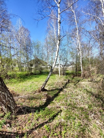 
  Продается земельный участок 7.8 соток, в КП Соловьи. Фото 3.