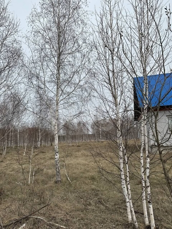 
  Продается дом 63.9 м². Фото 10.