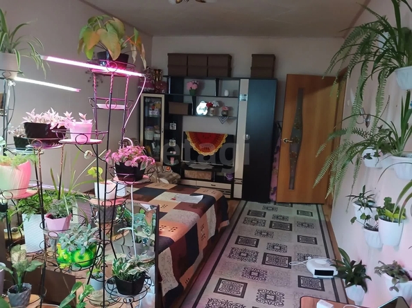 
  Продается 1-комн. квартира 24 м². Фото 13.