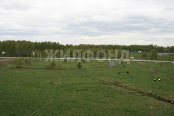 
  Продается студия 33 м². Фото 11.